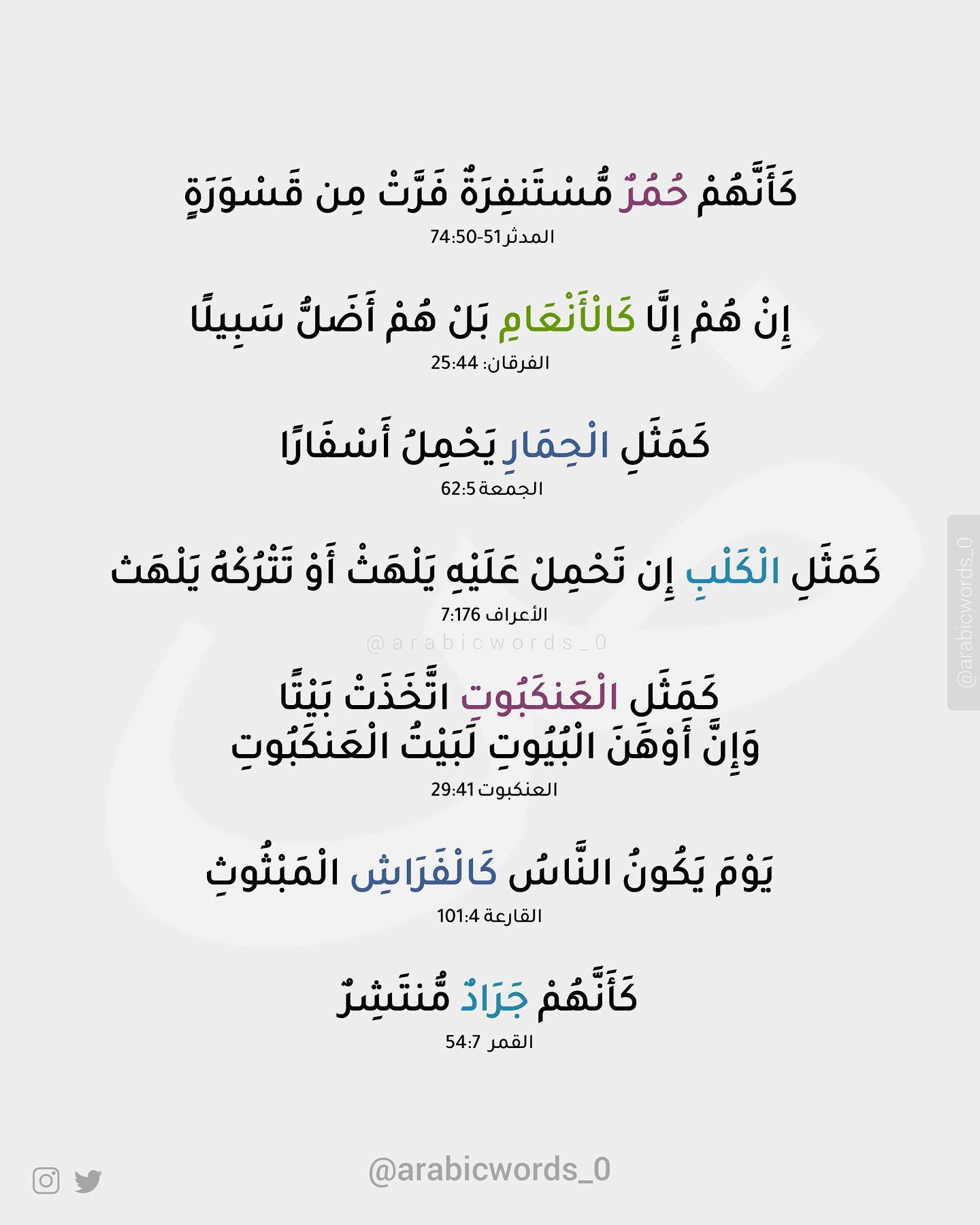 Animal metaphors in the Holy Quran