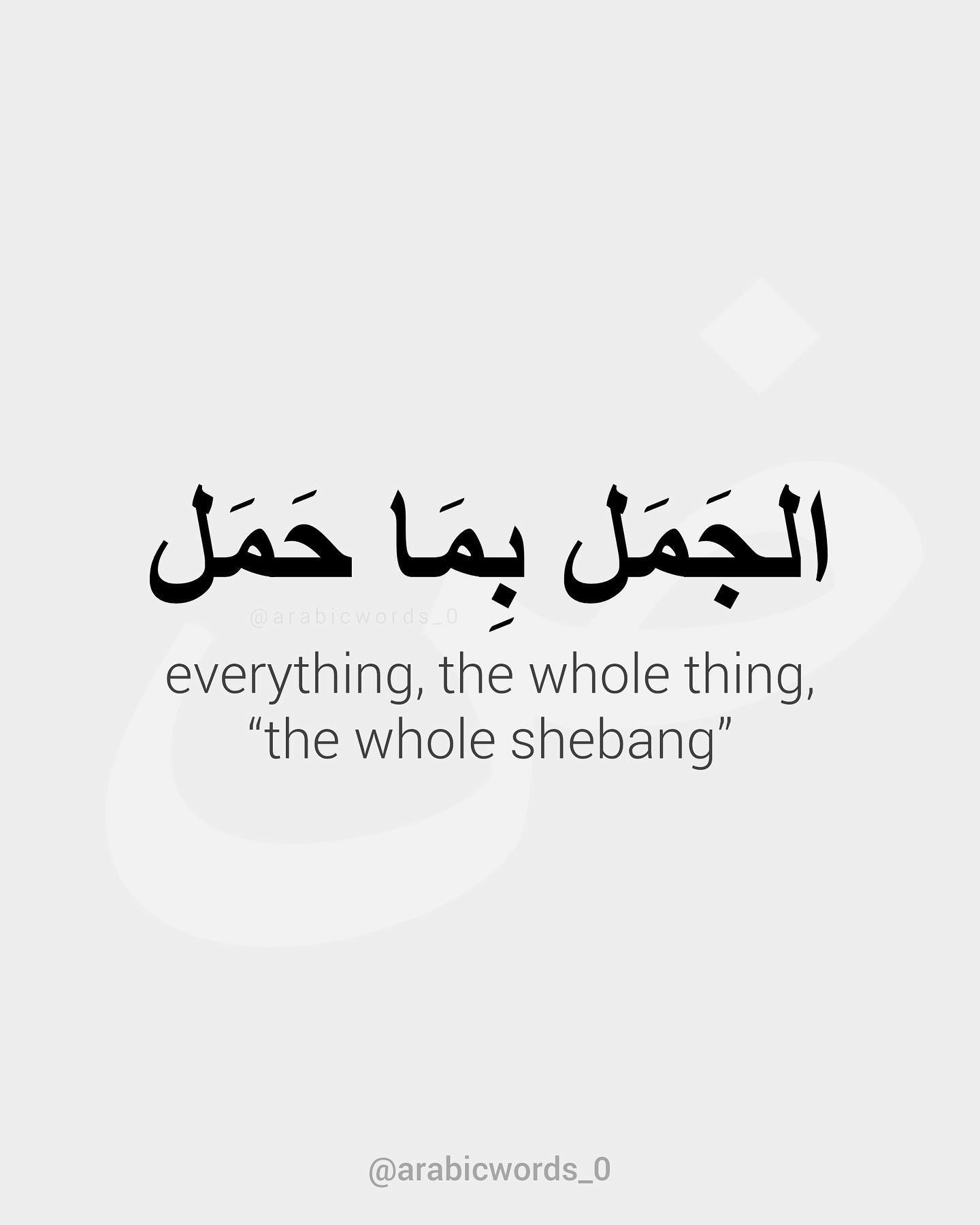 everything, the whole thing,  “the whole shebang”