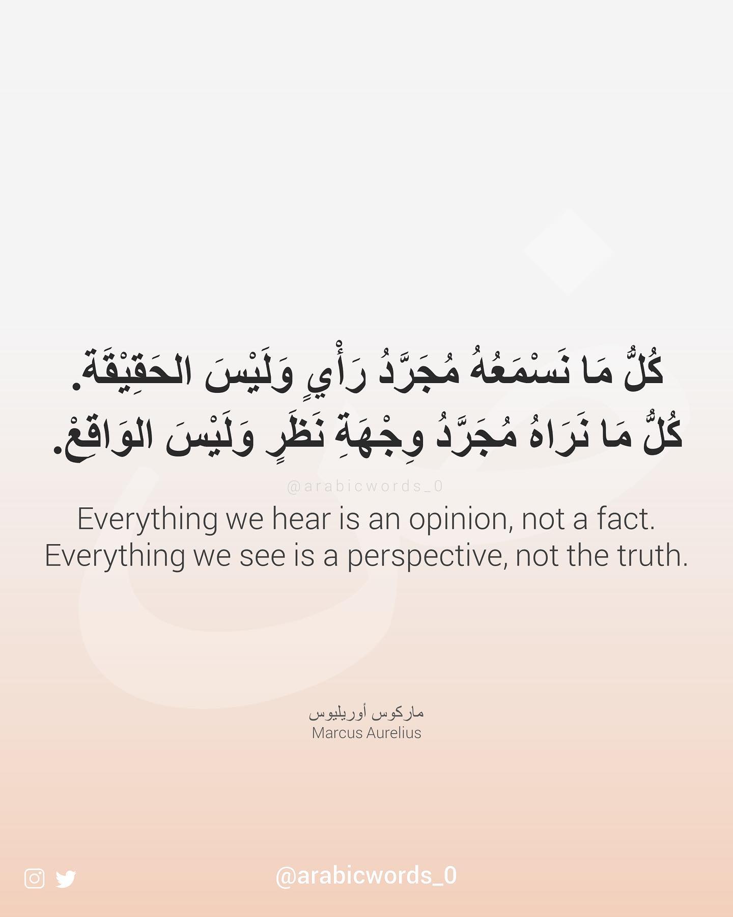 Everything we hear is an opinion, not a fact. Everything we see is a perspective, not the truth.
