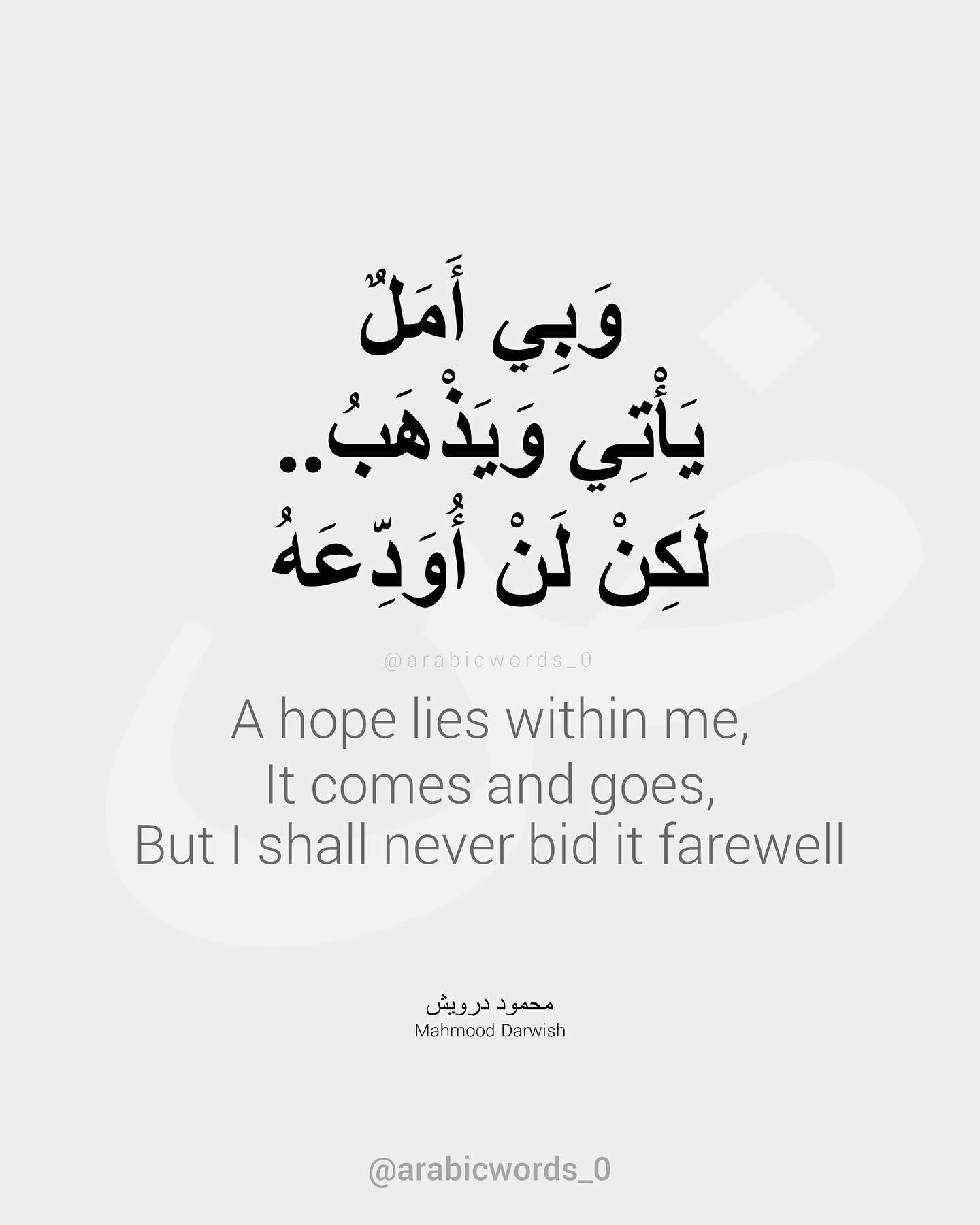 A hope lies within me, It comes and goes, But I shall never bid it farewell
