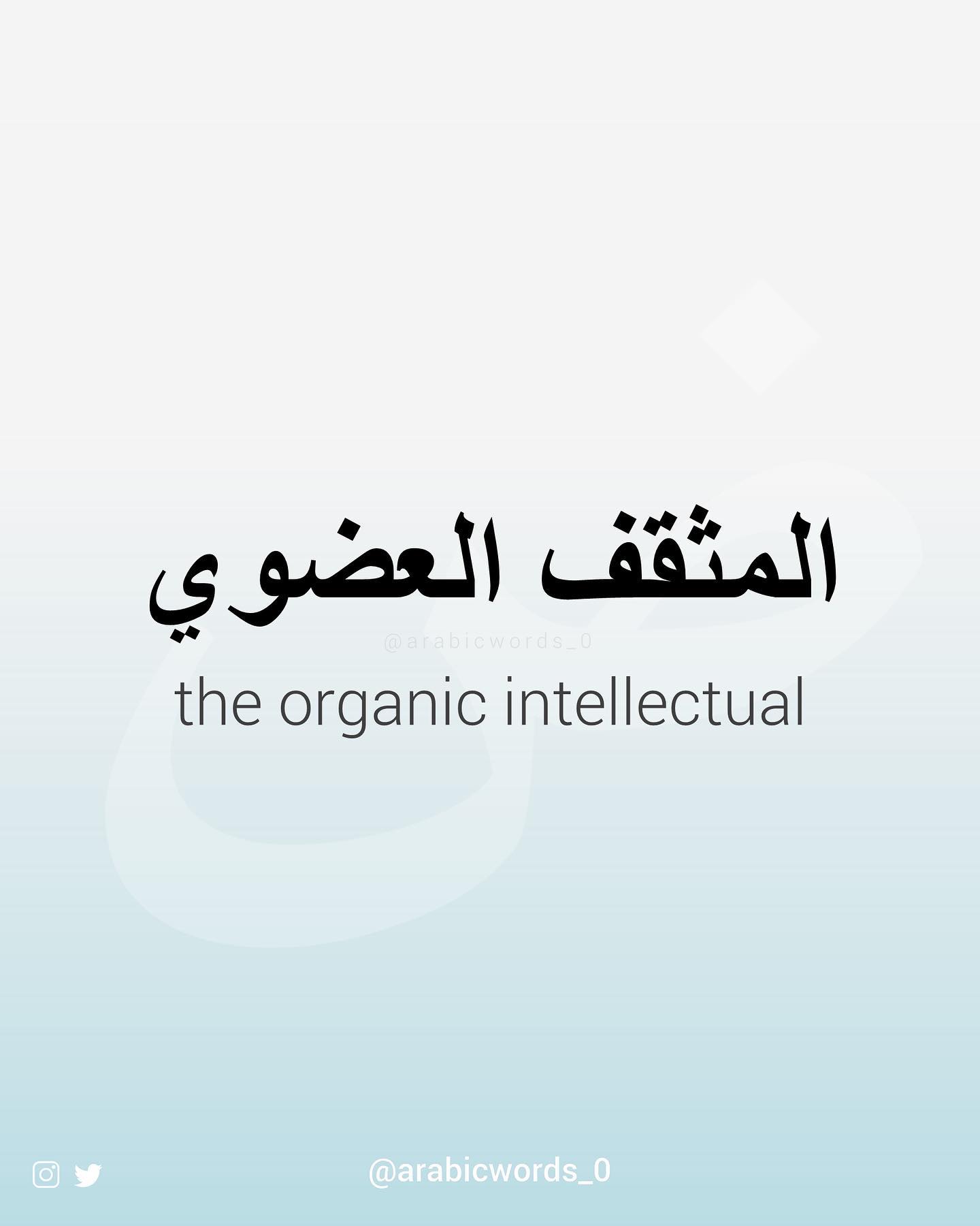 the organic intellectual