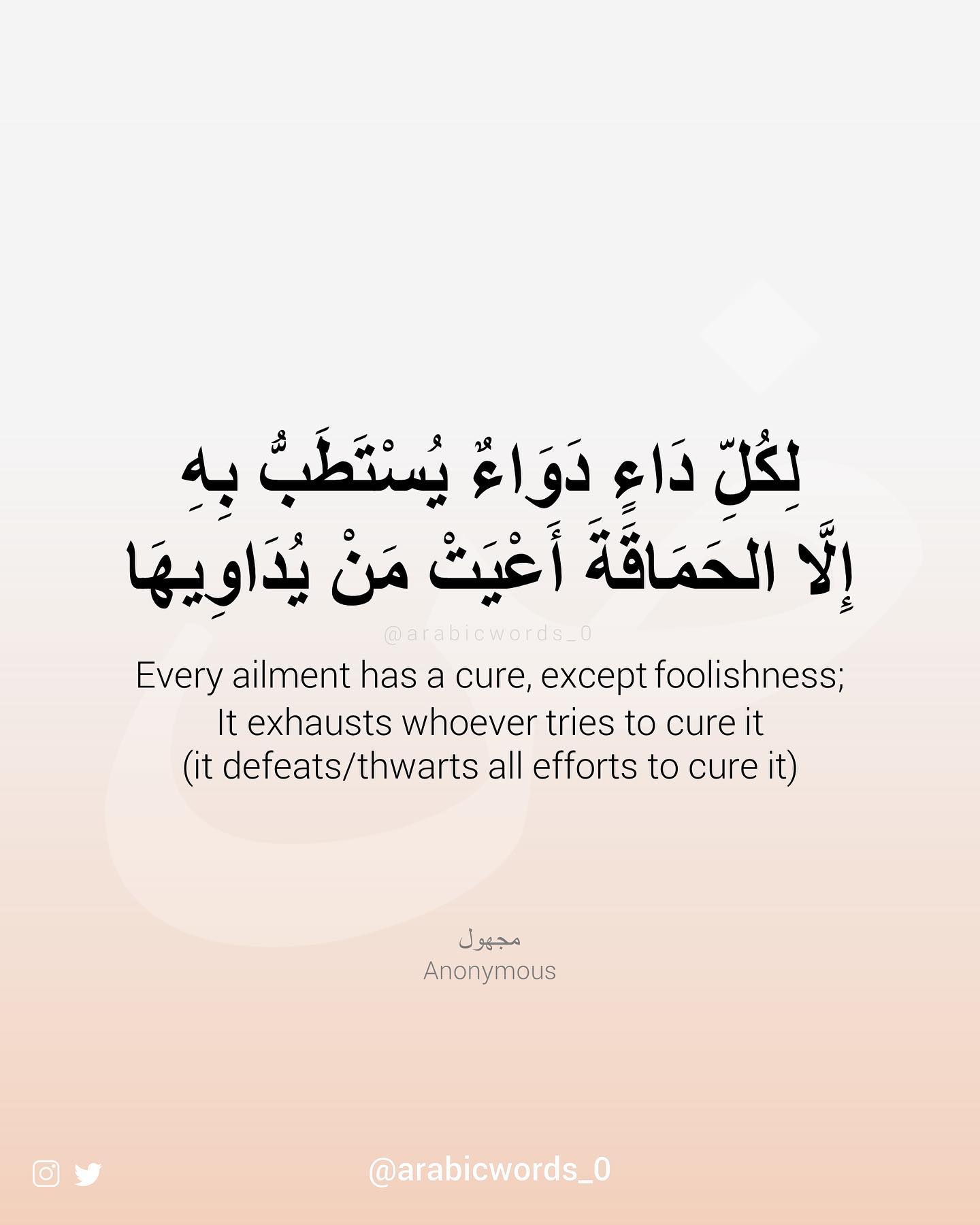 Every ailment has a cure, except foolishness; It exhausts whoever tries to cure it  (it defeats/thwarts all efforts to cure it)