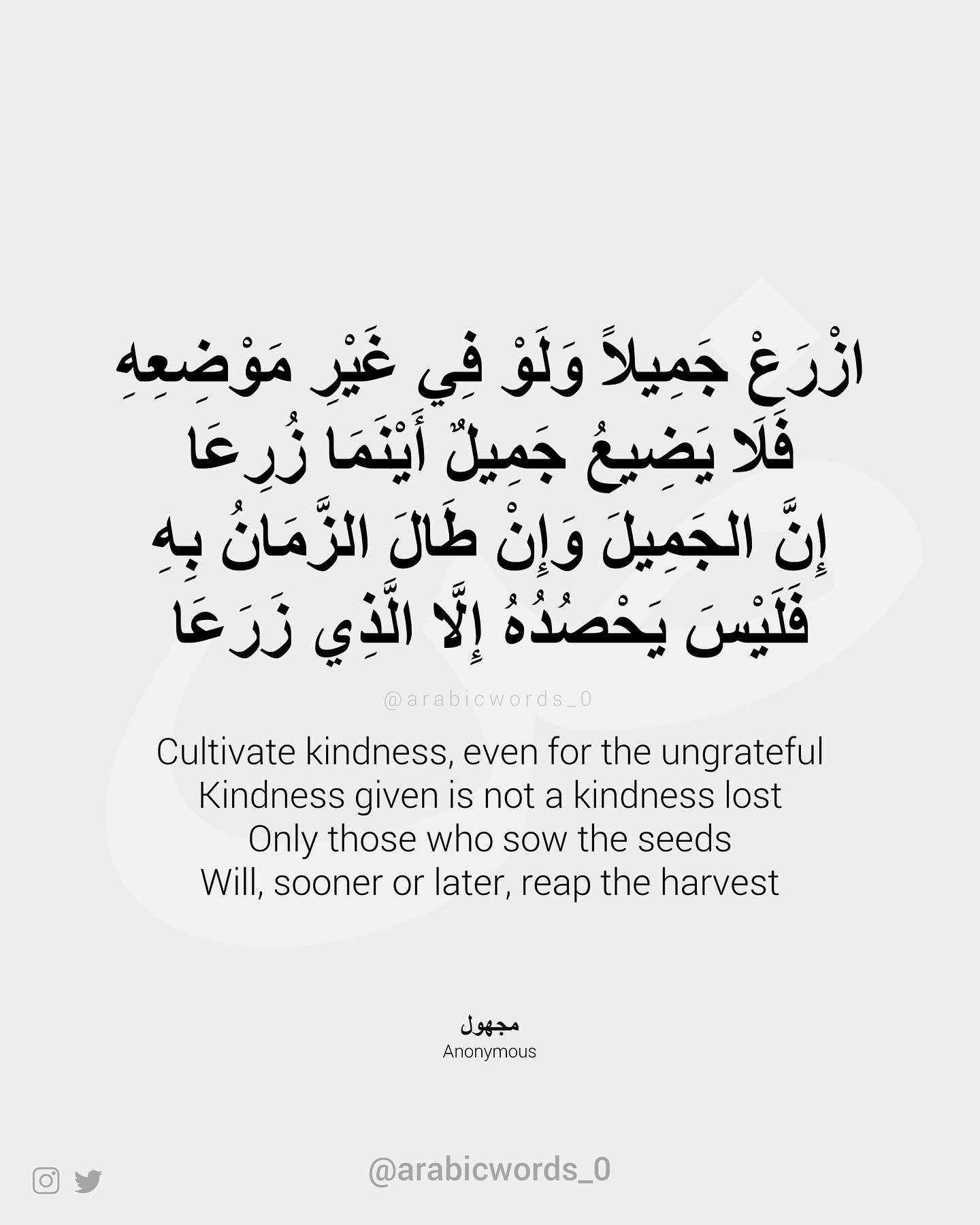 Cultivate kindness, even for the ungrateful Kindness given is not a kindness lost