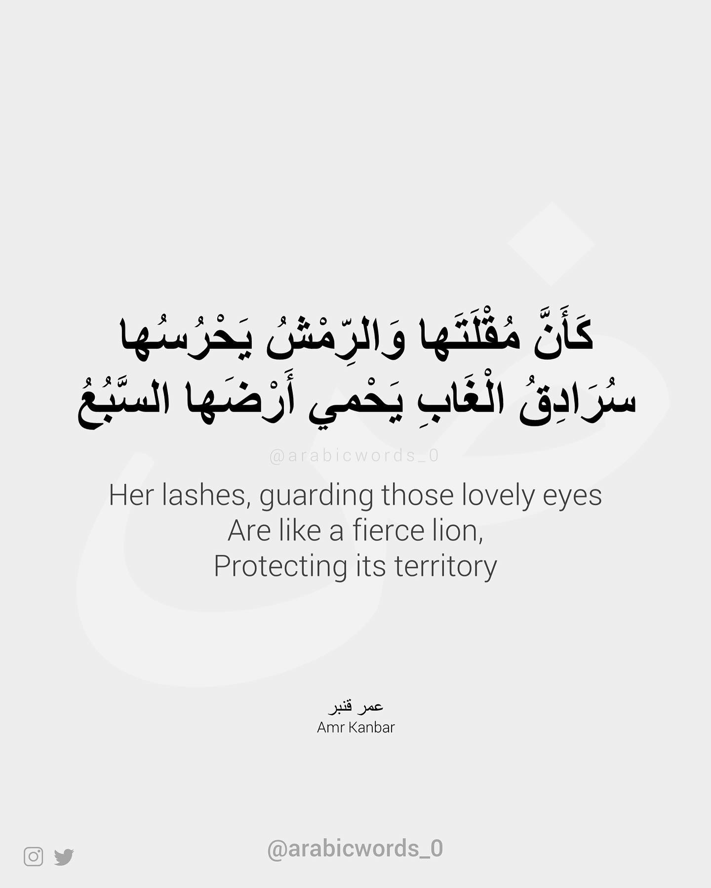 Her lashes, guarding those lovely eyes Are like a fierce lion,  Protecting its territory