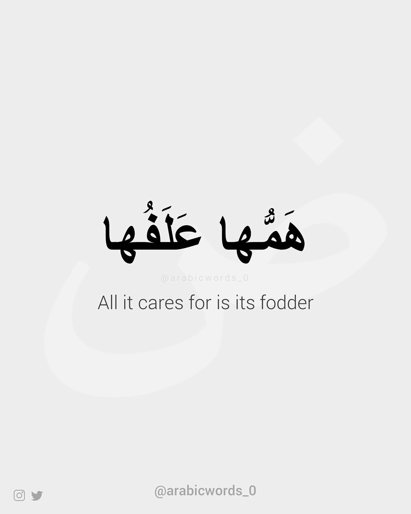All it cares for is its fodder