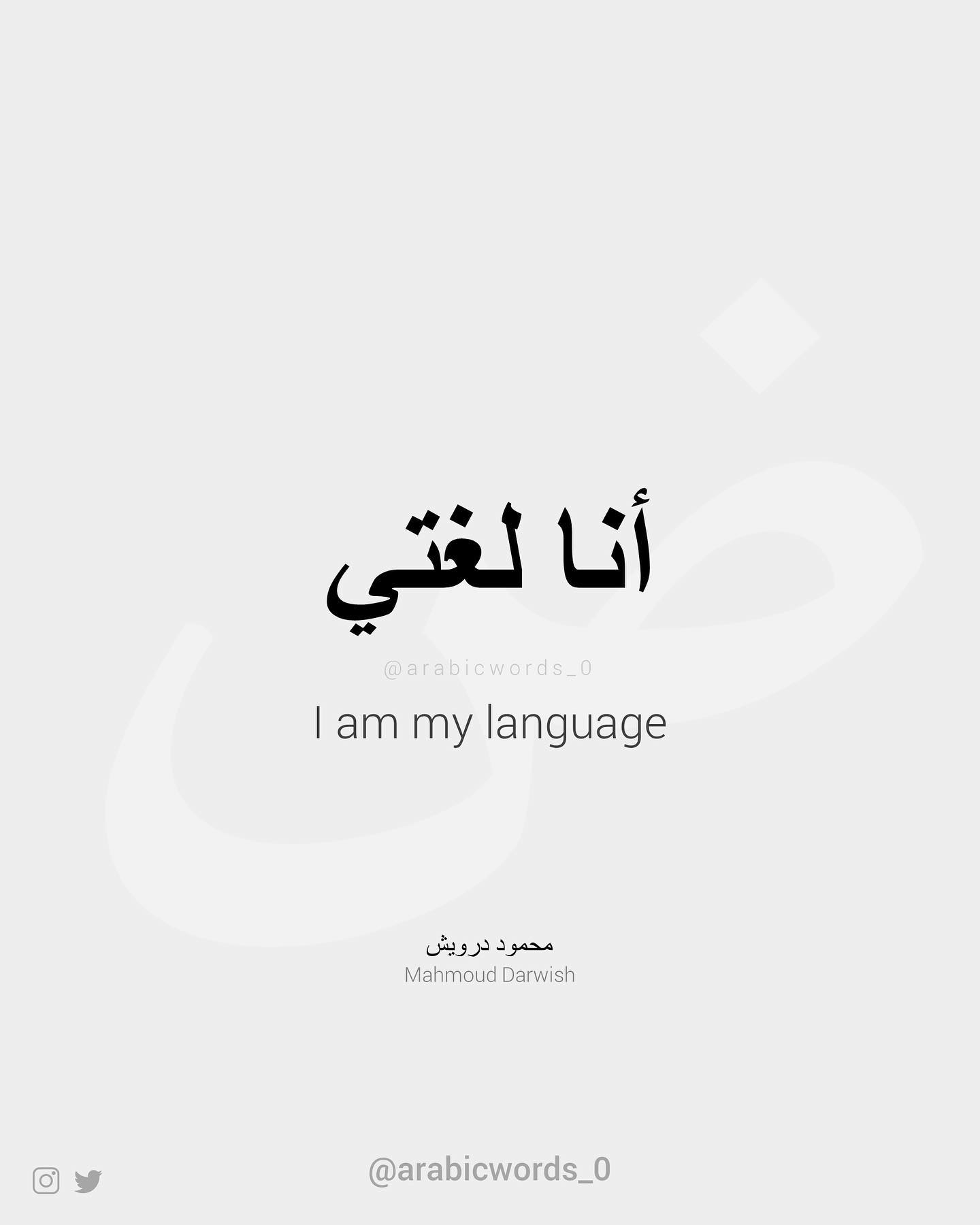 I am my language