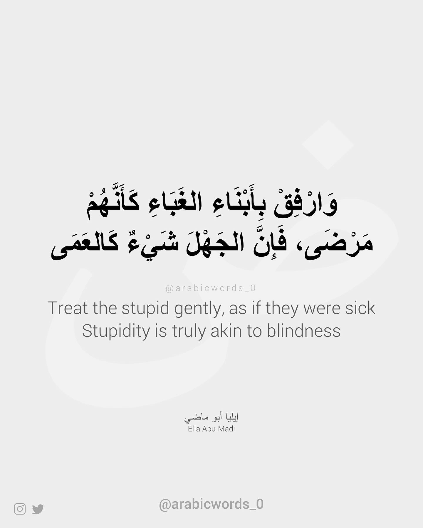 Treat the stupid gently, as if they were sick Stupidity is truly akin to blindness