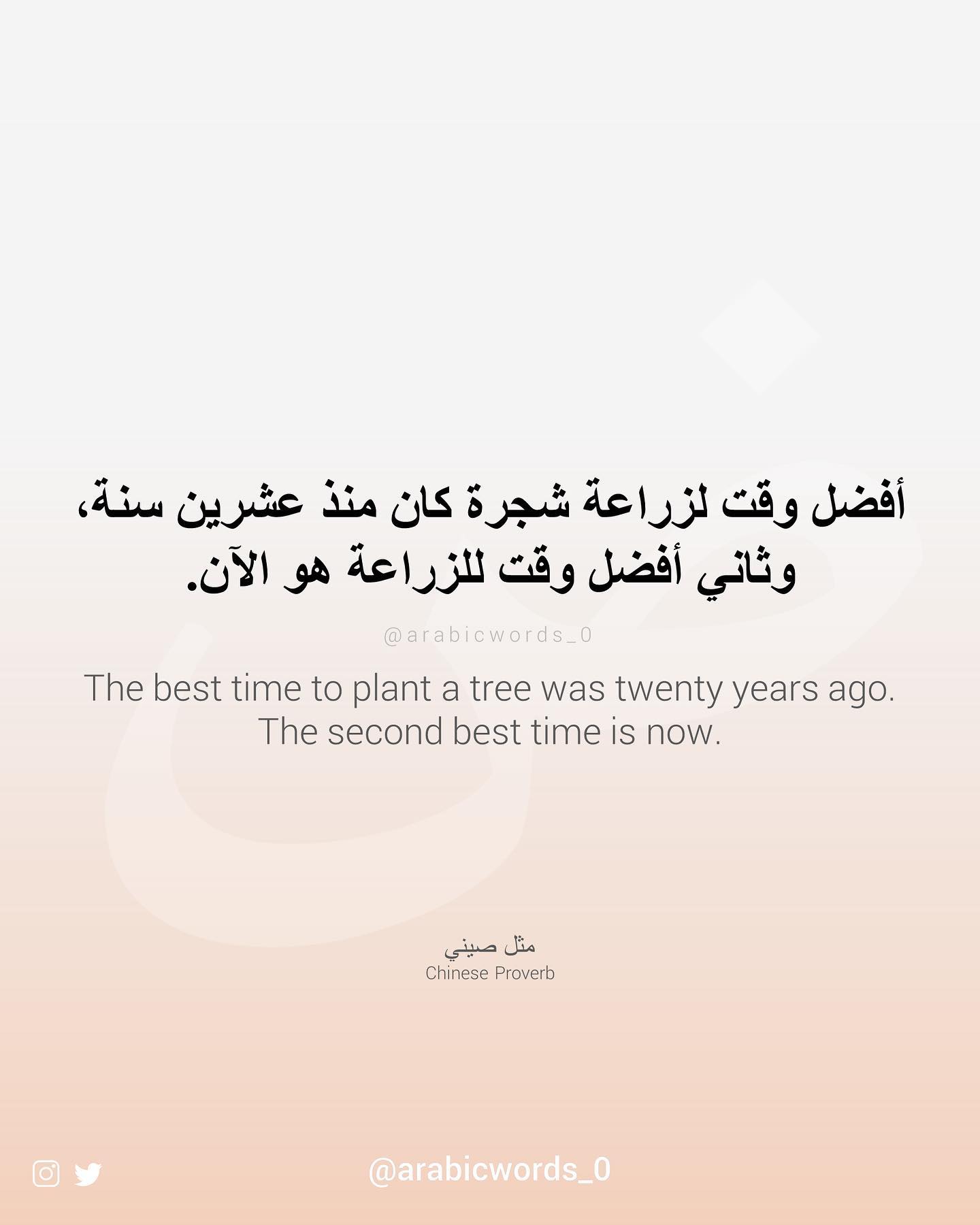 The best time to plant a tree was twenty years ago. The second best time is now.