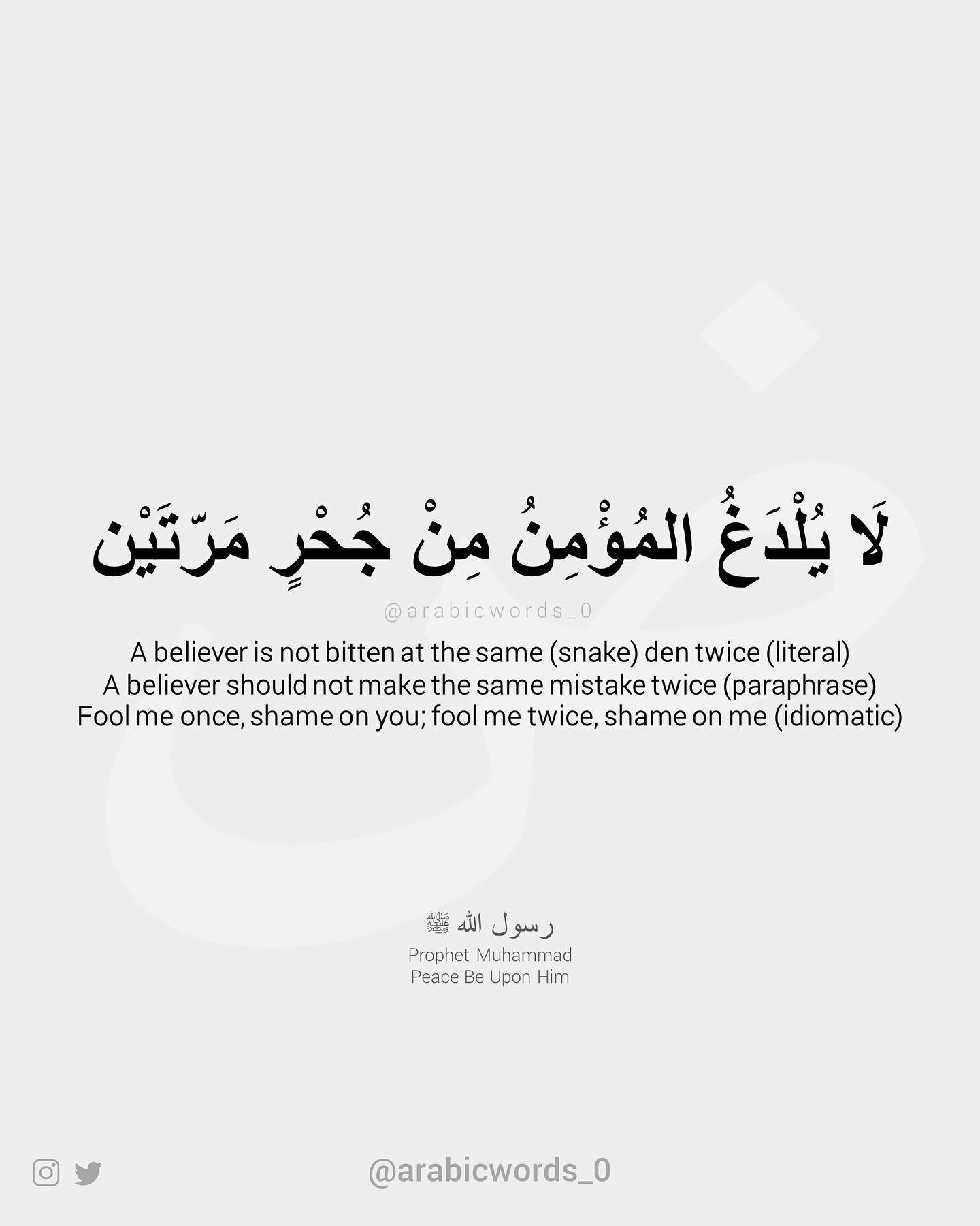 A believer is not bitten at the same (snake) den twice (literal)