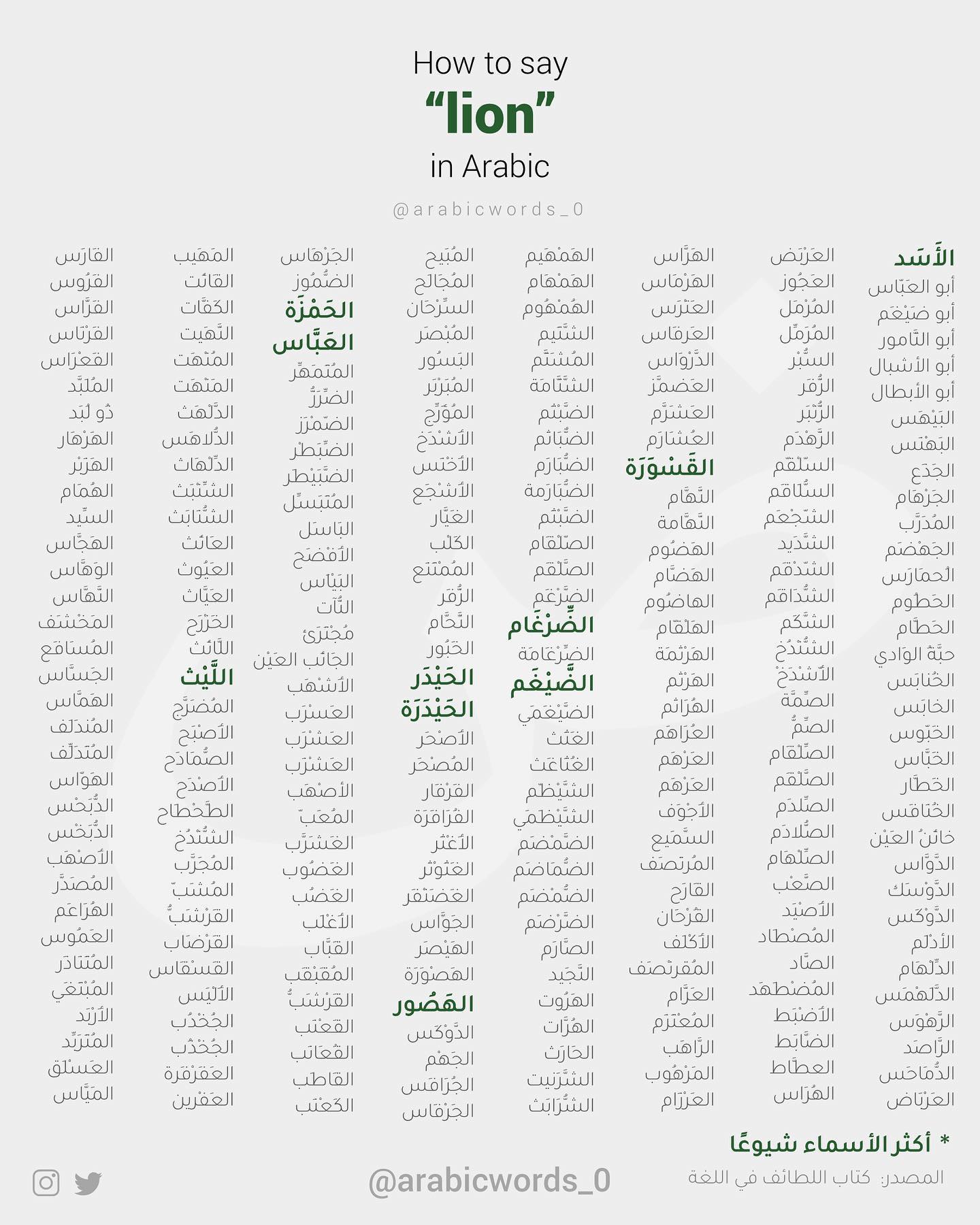 Lion in Arabic