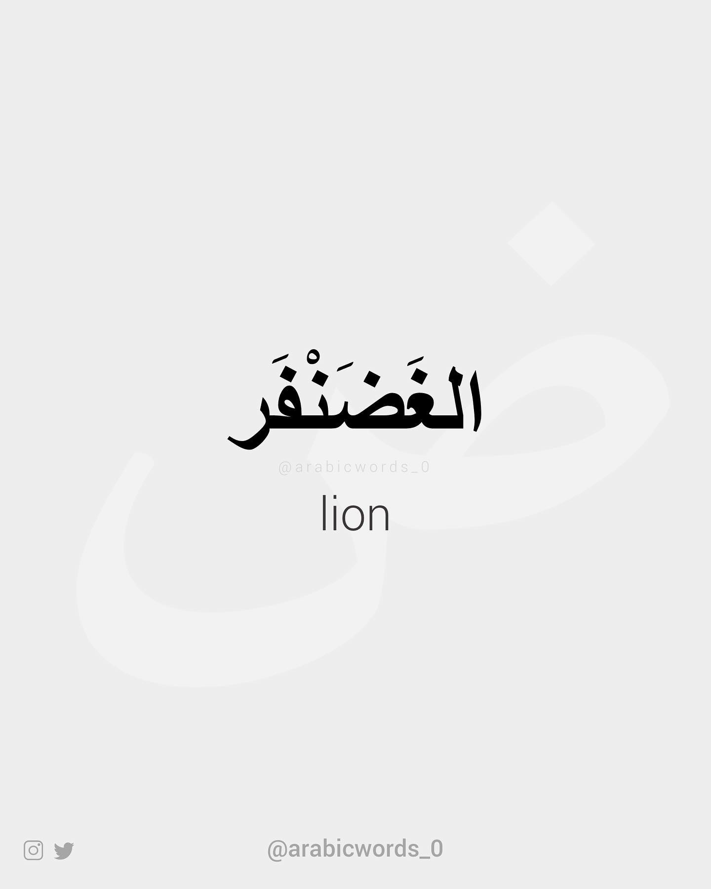 lion