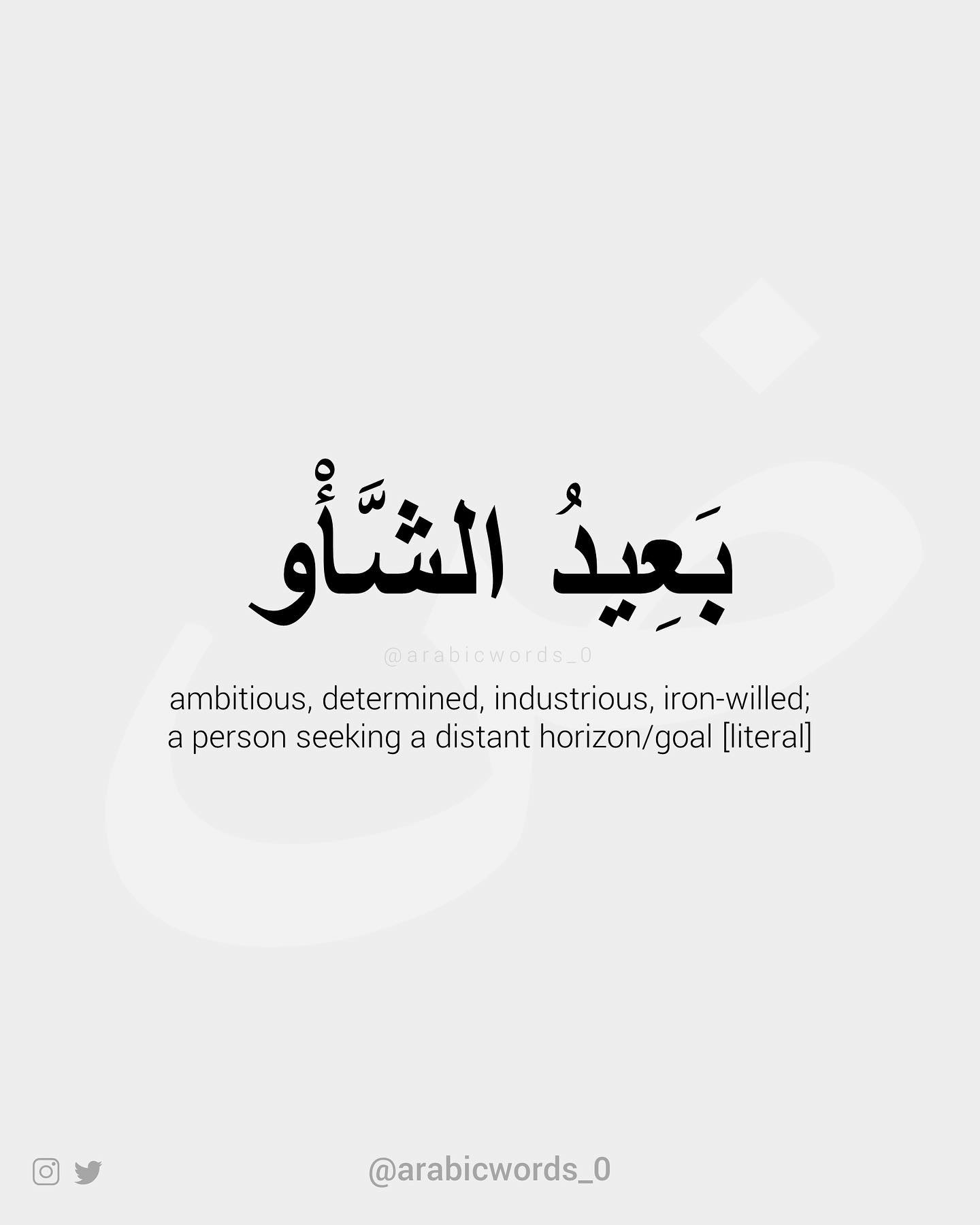 ambitious, determined, industrious, iron-willed; a person seeking a distant horizon/goal [literal]