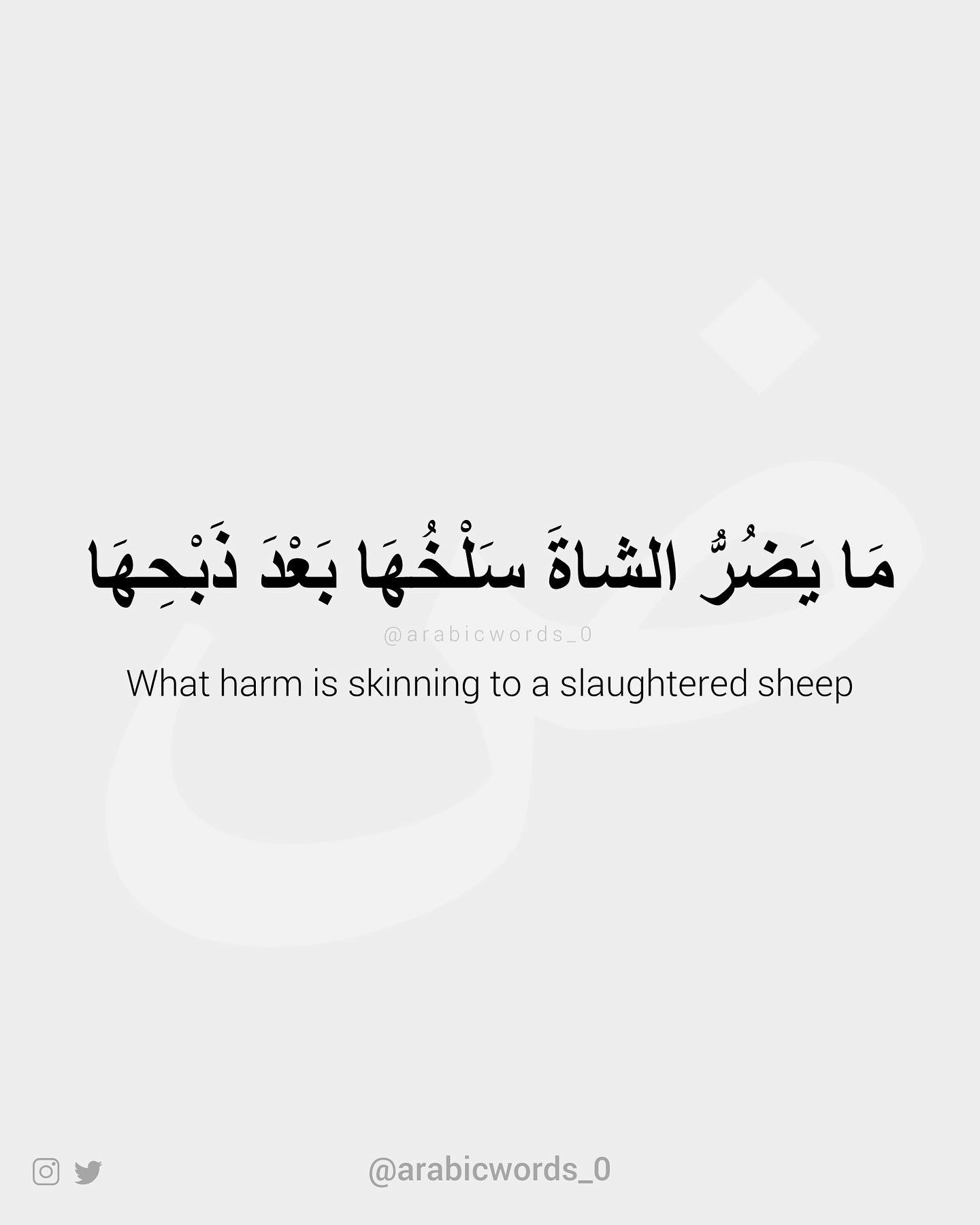 What harm is skinning to a slaughtered sheep