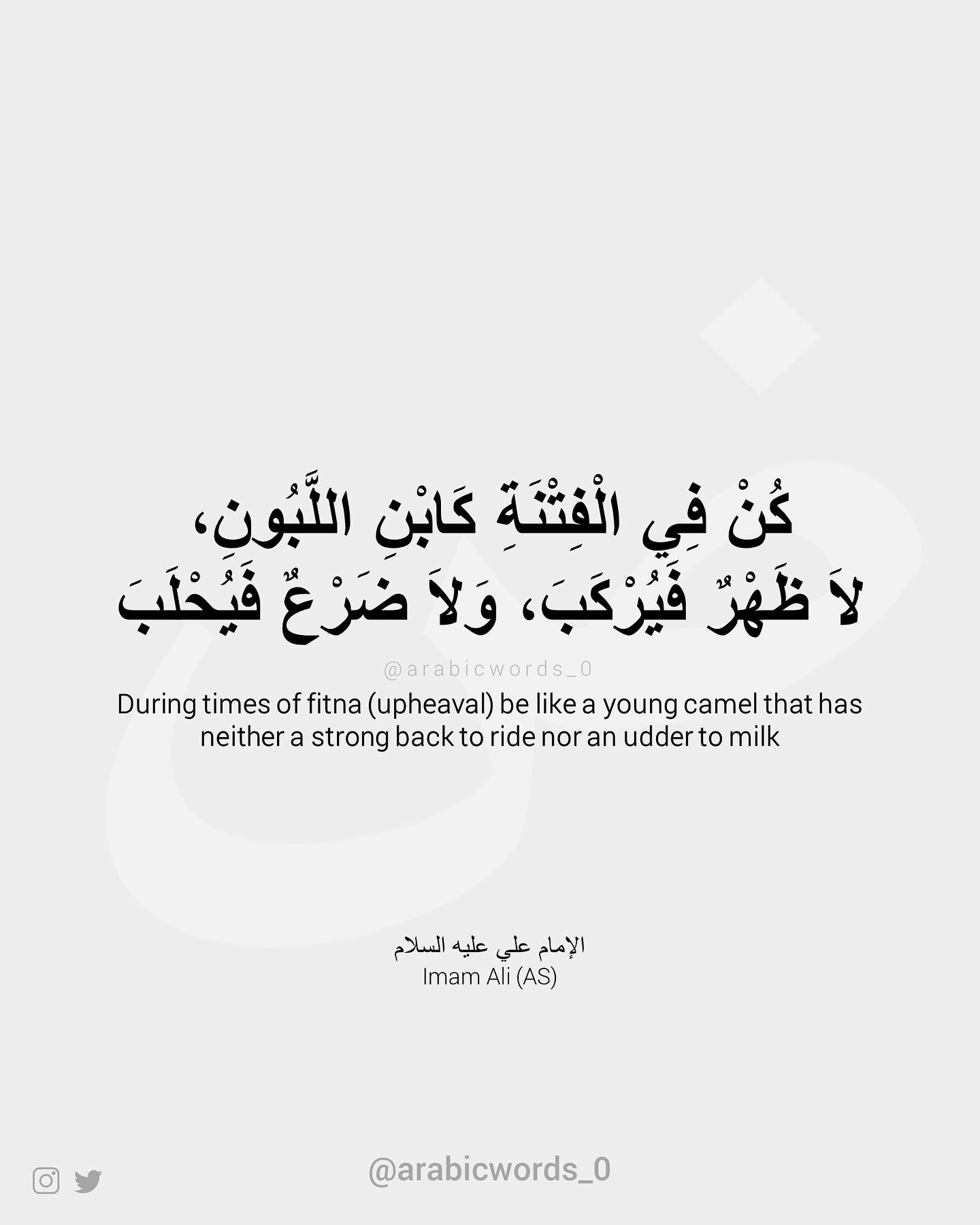 During times of fitna (upheaval) be like a young camel that has neither a strong back to ride nor an udder to milk