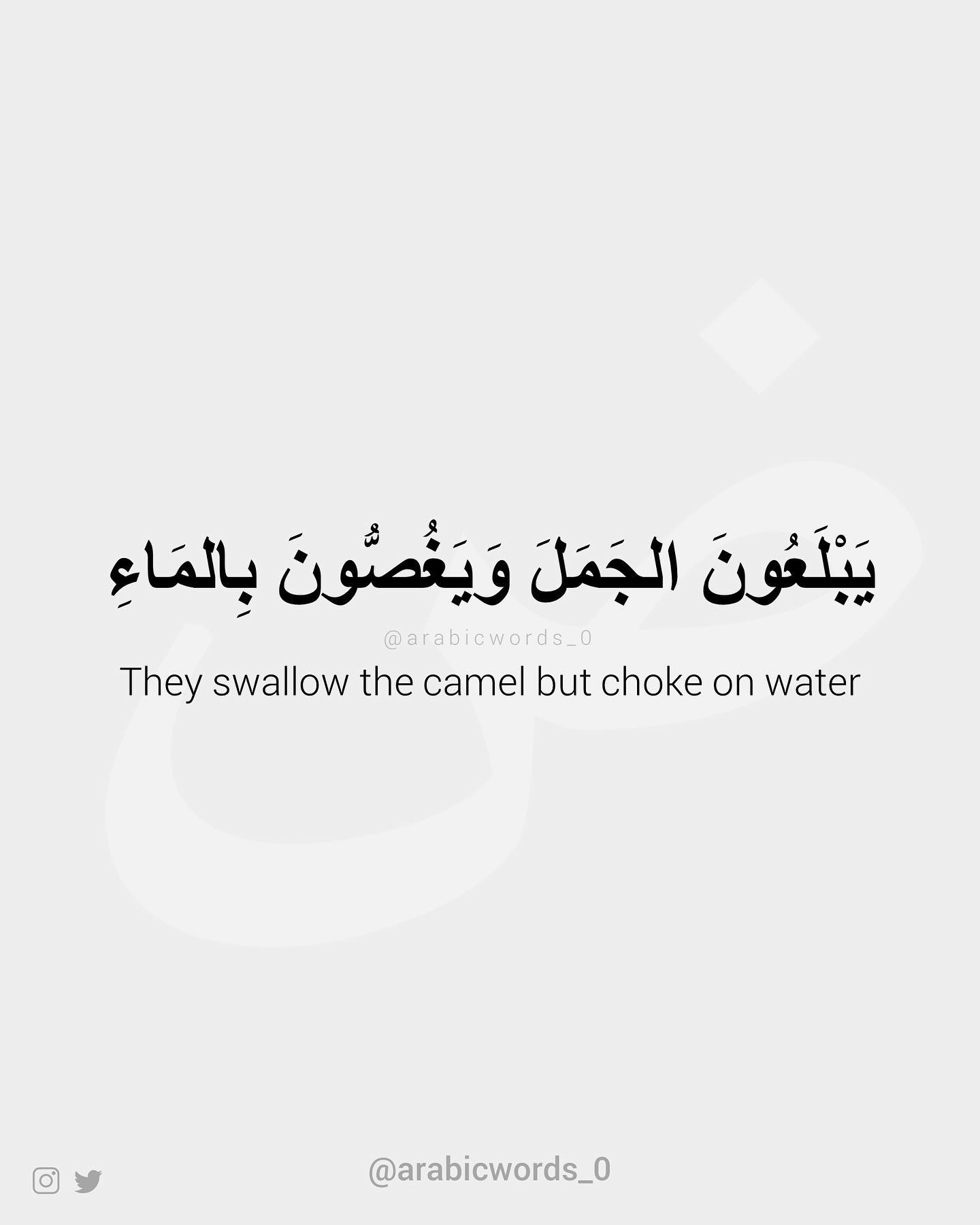 They swallow the camel but choke on water (i.e. having double standards)