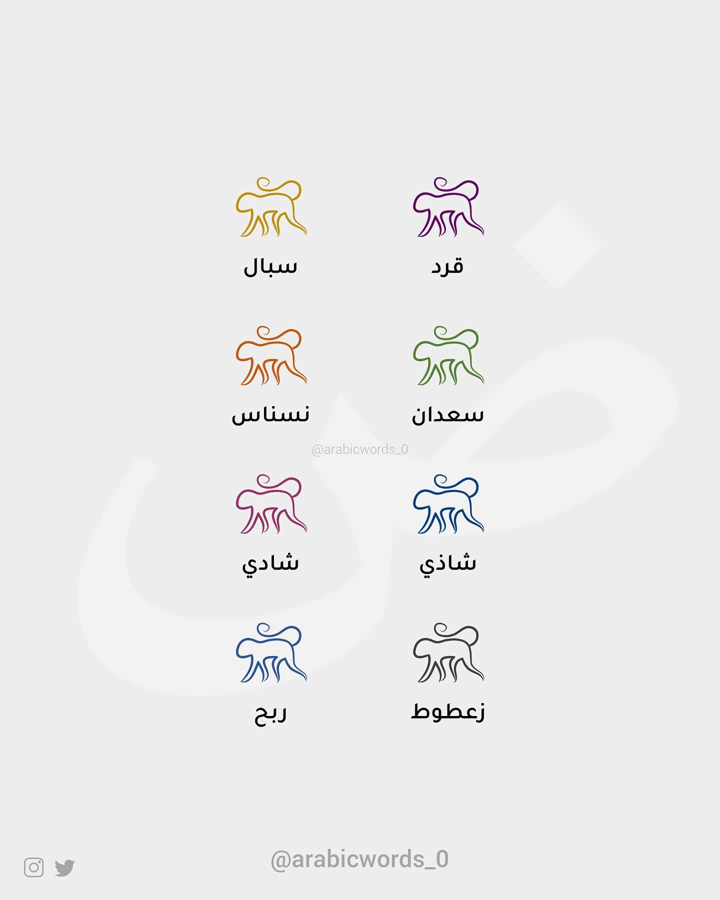 “Monkey” in different Arabic dialects