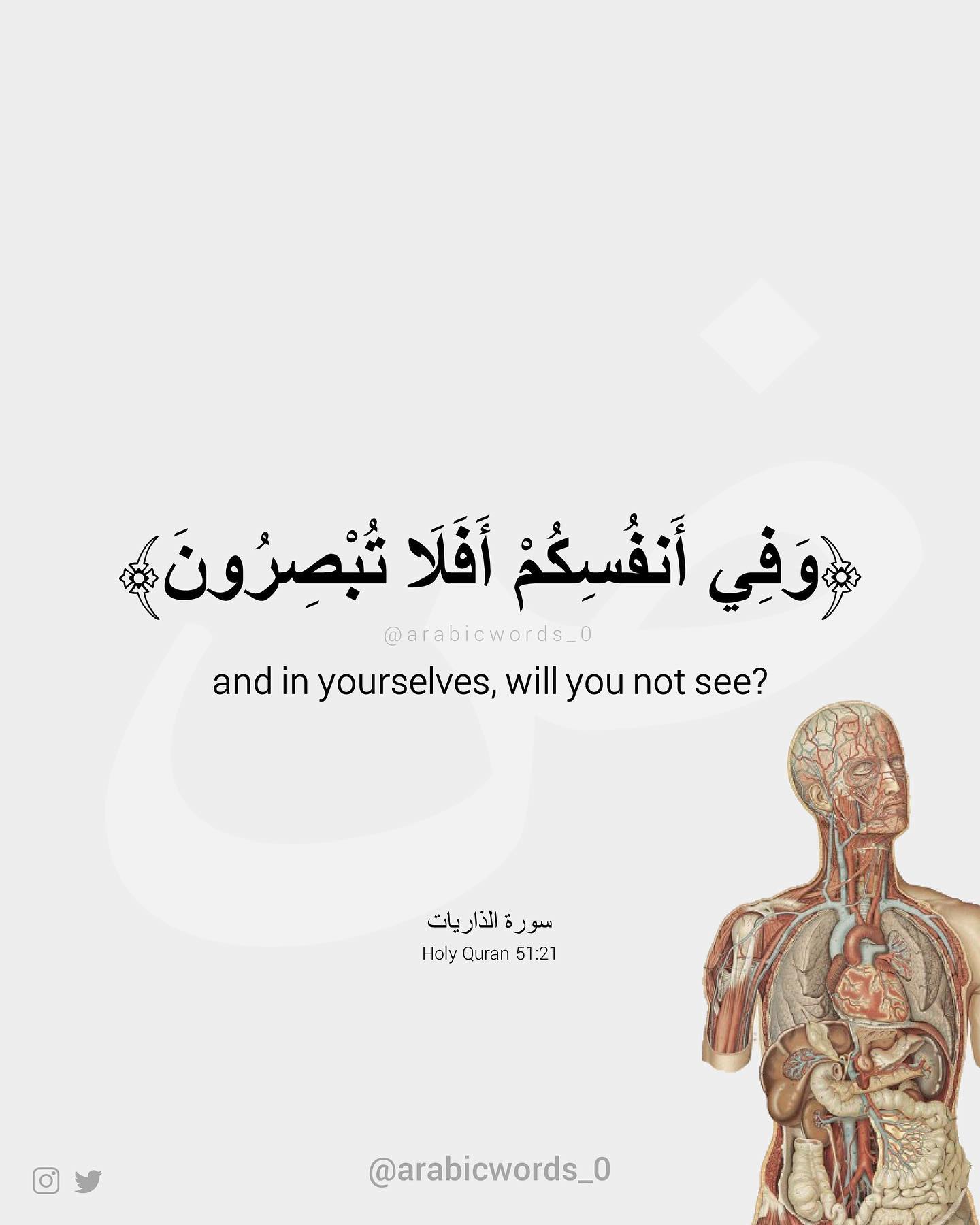 and in yourselves, will you not see?