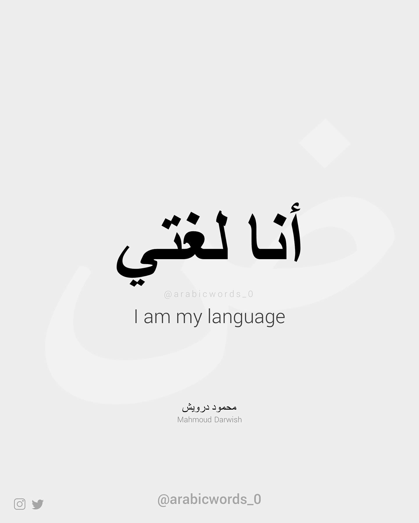I am my language