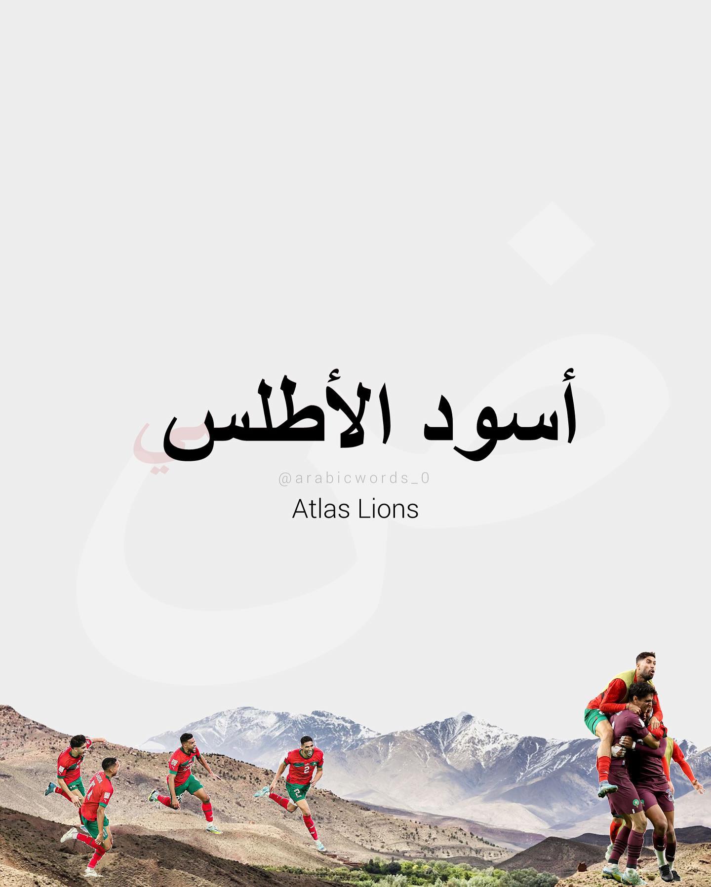 Atlas Lions