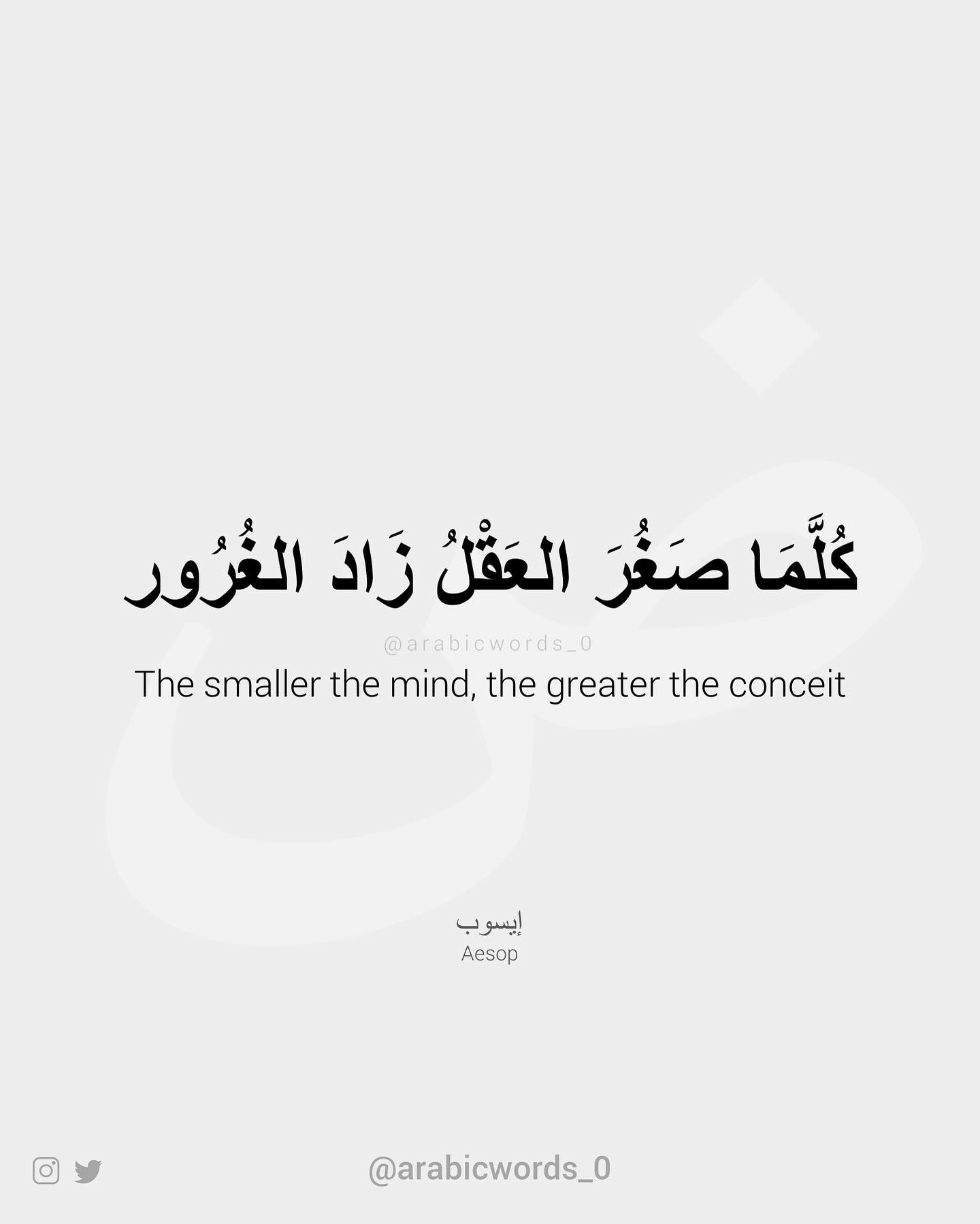 The smaller the mind, the greater the conceit
