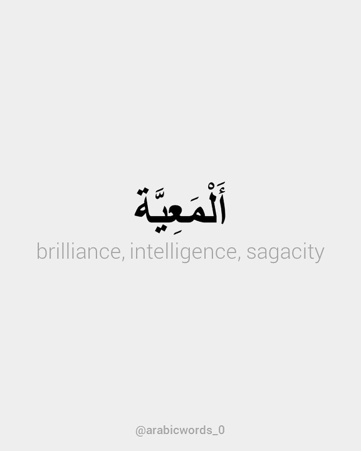 brilliance, intelligence, sagacity