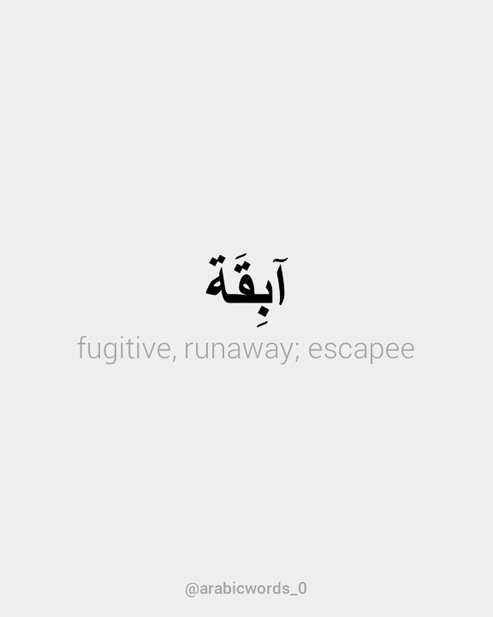 fugitive, runaway; escapee