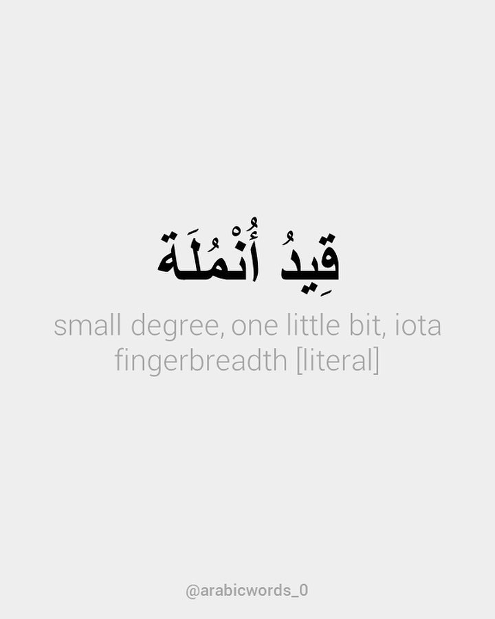 small degree, one little bit, iota fingerbreadth [literal]
