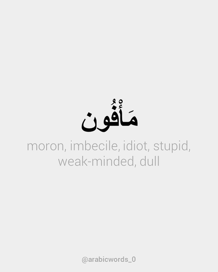 moron, imbecile, idiot, stupid, weak-minded, dull