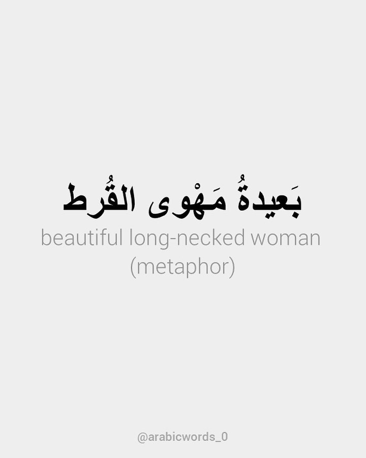 beautiful long-necked woman (metaphor)