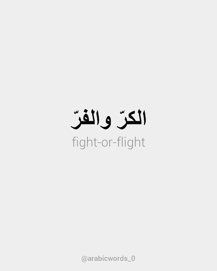 fight-or-flight