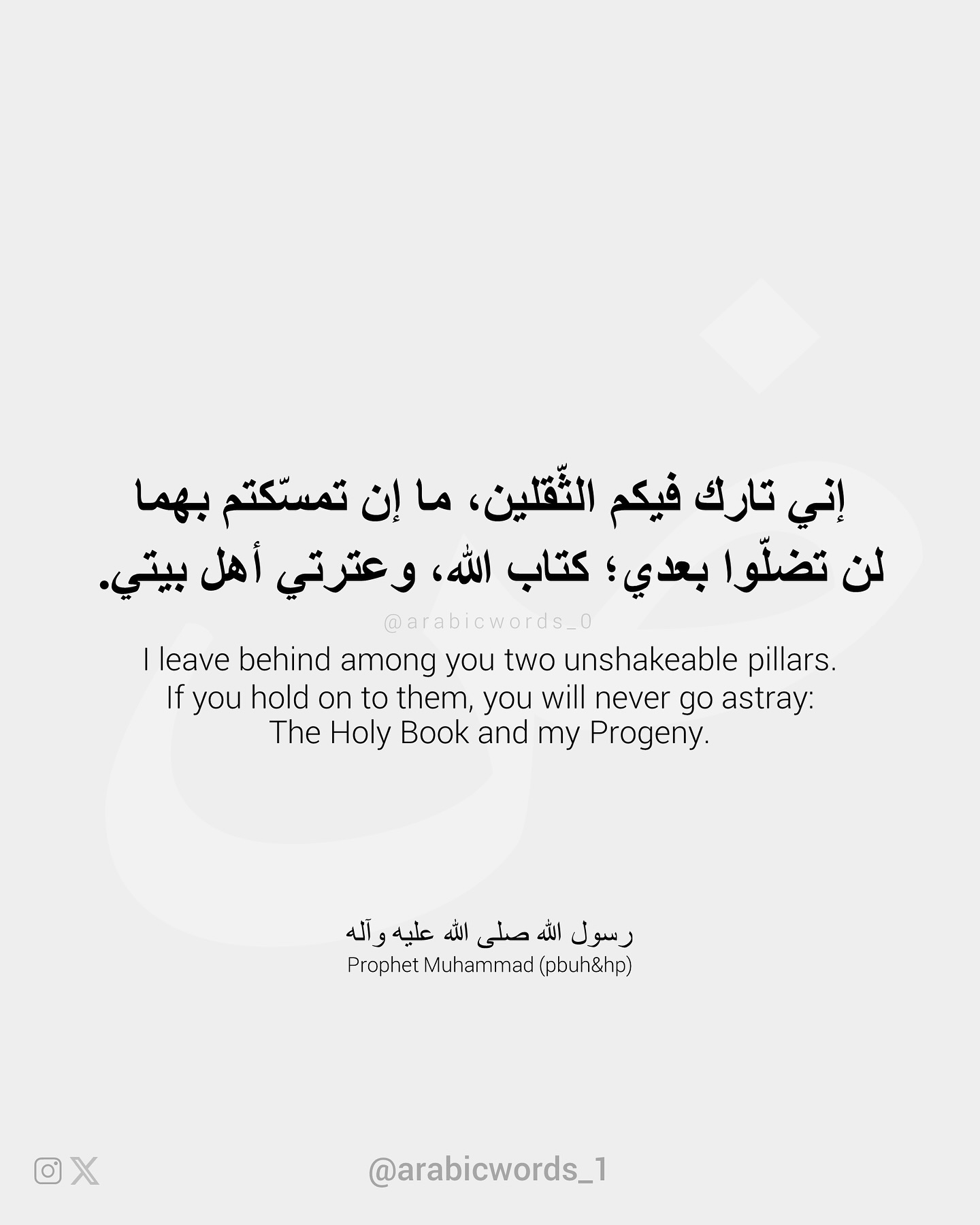 I leave behind among you two unshakeable pillars. If you hold on to them, you will never go astray:  The Holy Book and my Progeny.