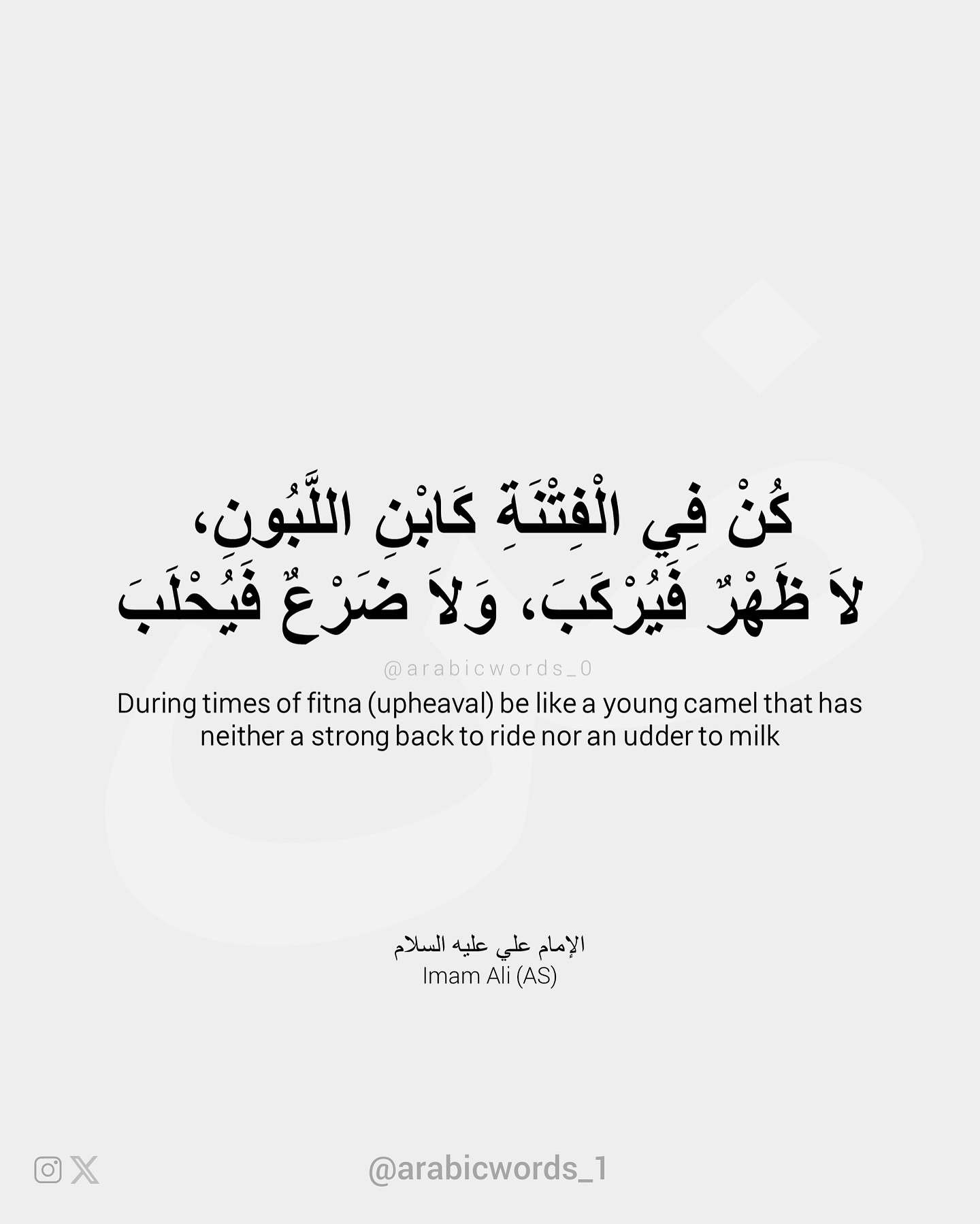 During times of fitna (upheaval) be like a young camel that has neither a strong back to ride nor an udder to milk