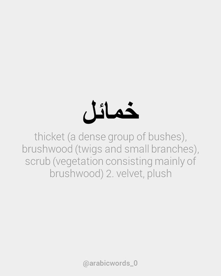 thicket (a dense group of bushes), brushwood (twigs and small branches), scrub (vegetation consisting mainly of brushwood) 2. velvet, plush