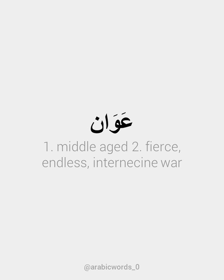 1. middle aged 2. fierce, endless, internecine war
