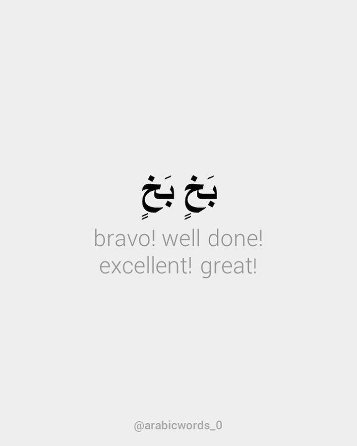 bravo! well done! excellent! great!