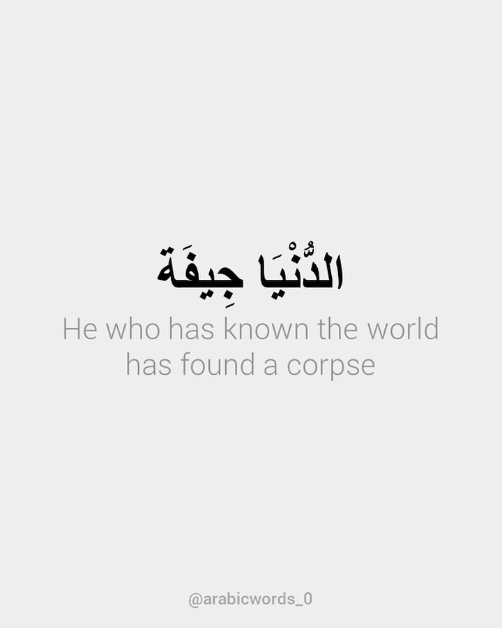 He who has known the world has found a corpse