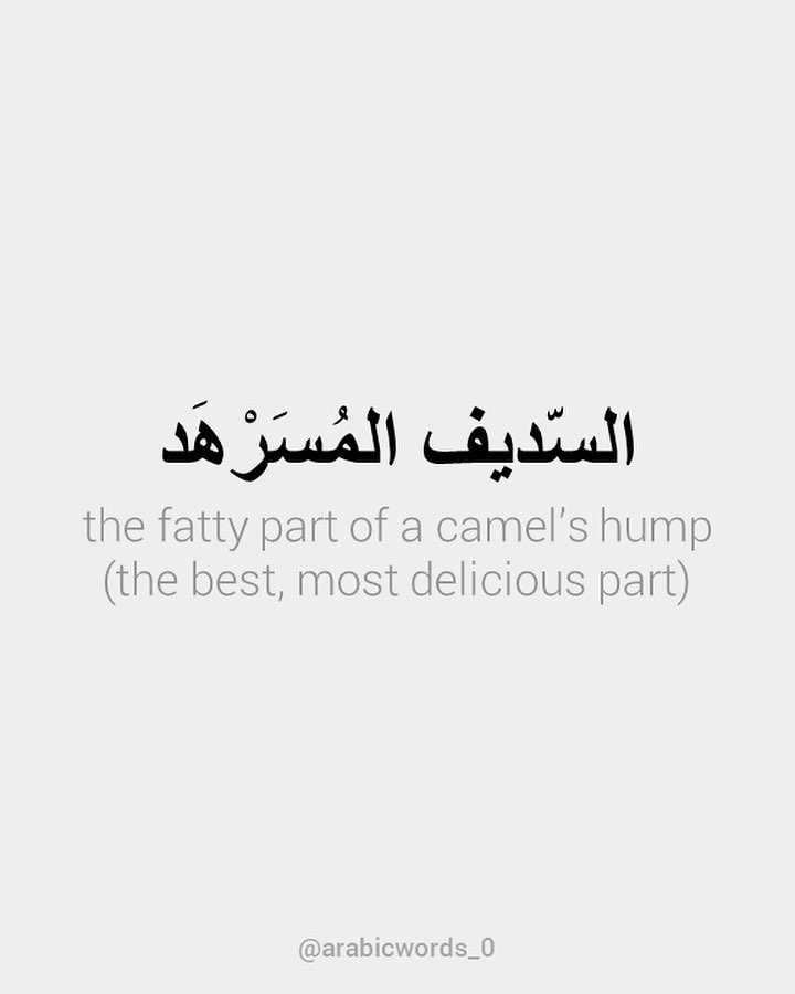 the fatty part of a camel’s hump (the best, most delicious part)