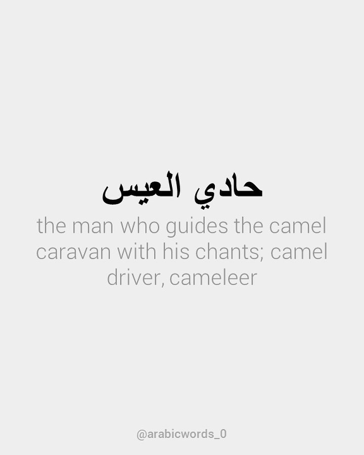 the man who guides the camel caravan with his chants; camel driver, cameleer