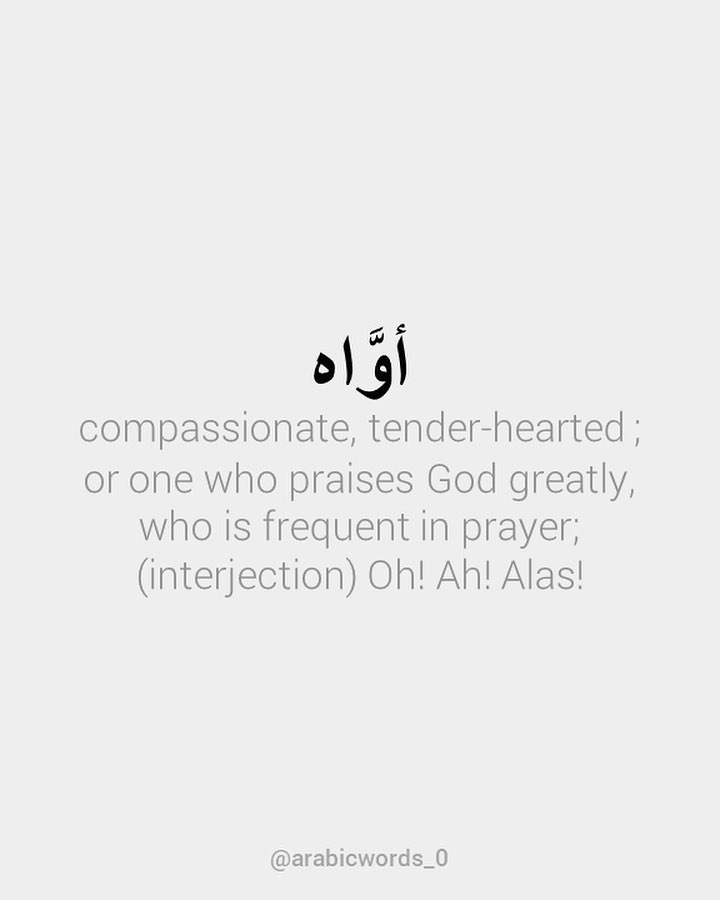 compassionate, tender-hearted ; or one who praises God greatly, who is frequent in prayer; (interjection) Oh! Ah! Alas!