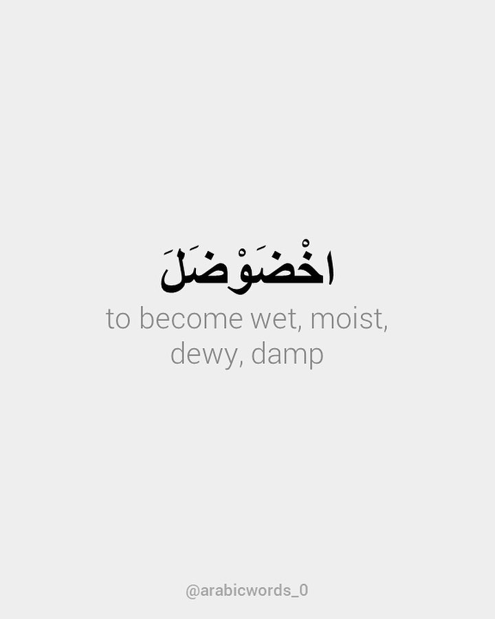 to become wet, moist,  dewy, damp