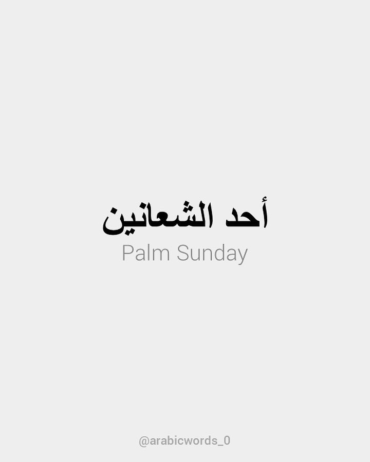 Palm Sunday