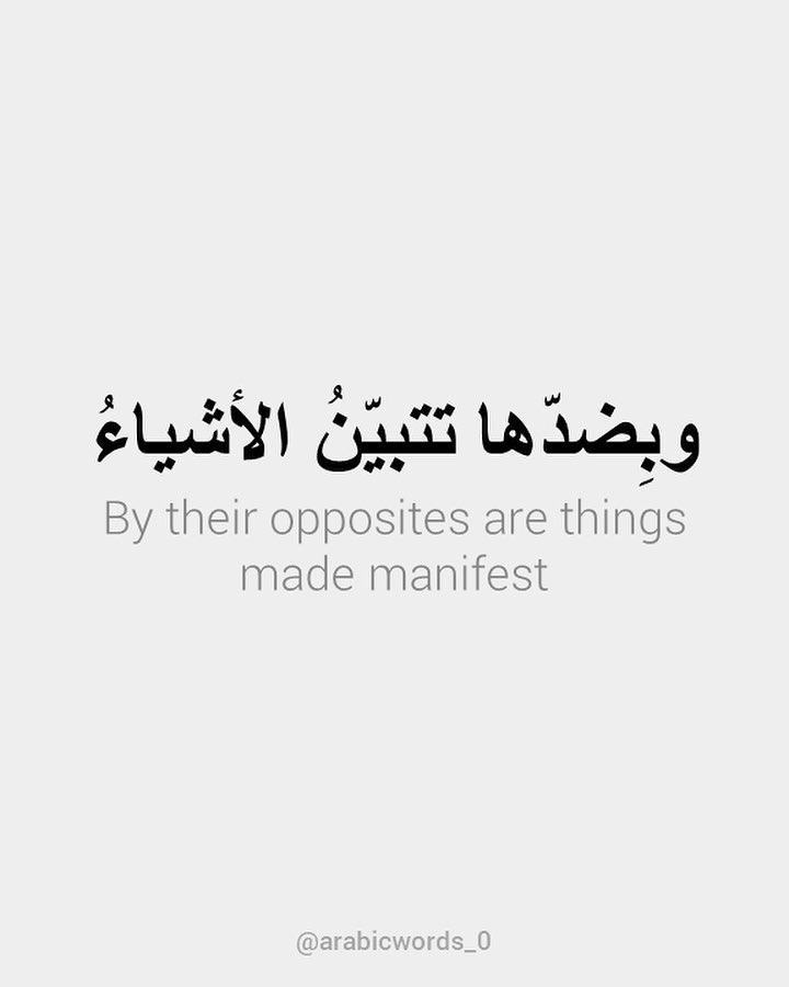 By their opposites are things made manifest