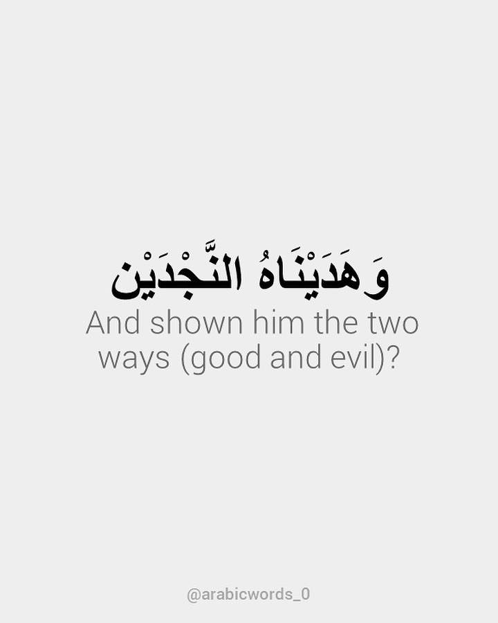 And shown him the two ways (good and evil)?