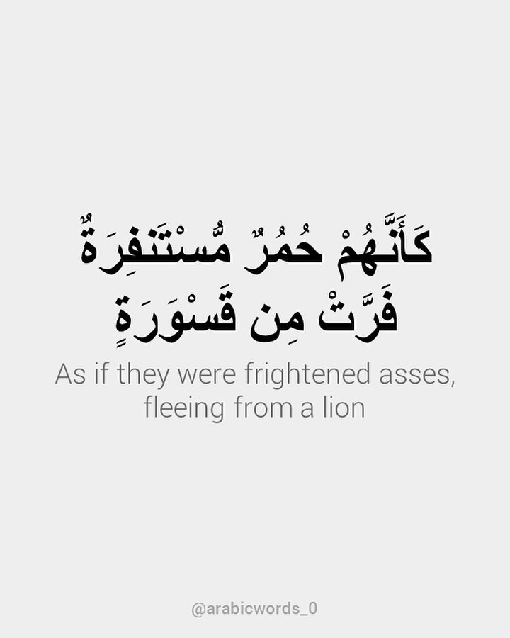As if they were frightened asses, fleeing from a lion