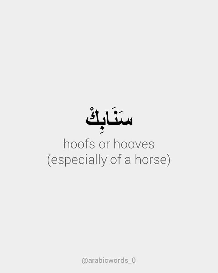 hoofs or hooves  (especially of a horse)