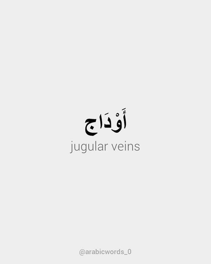 jugular veins