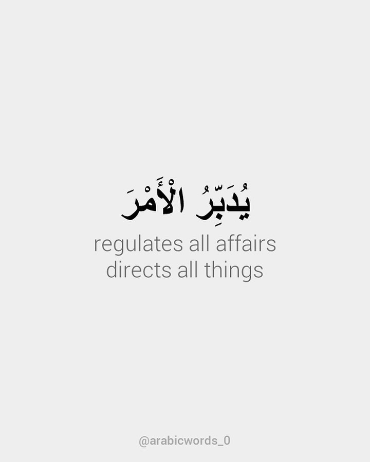 regulates all affairs