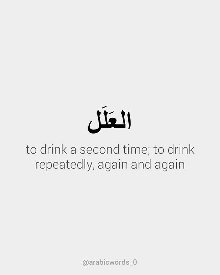 to drink a second time; to drink repeatedly, again and again