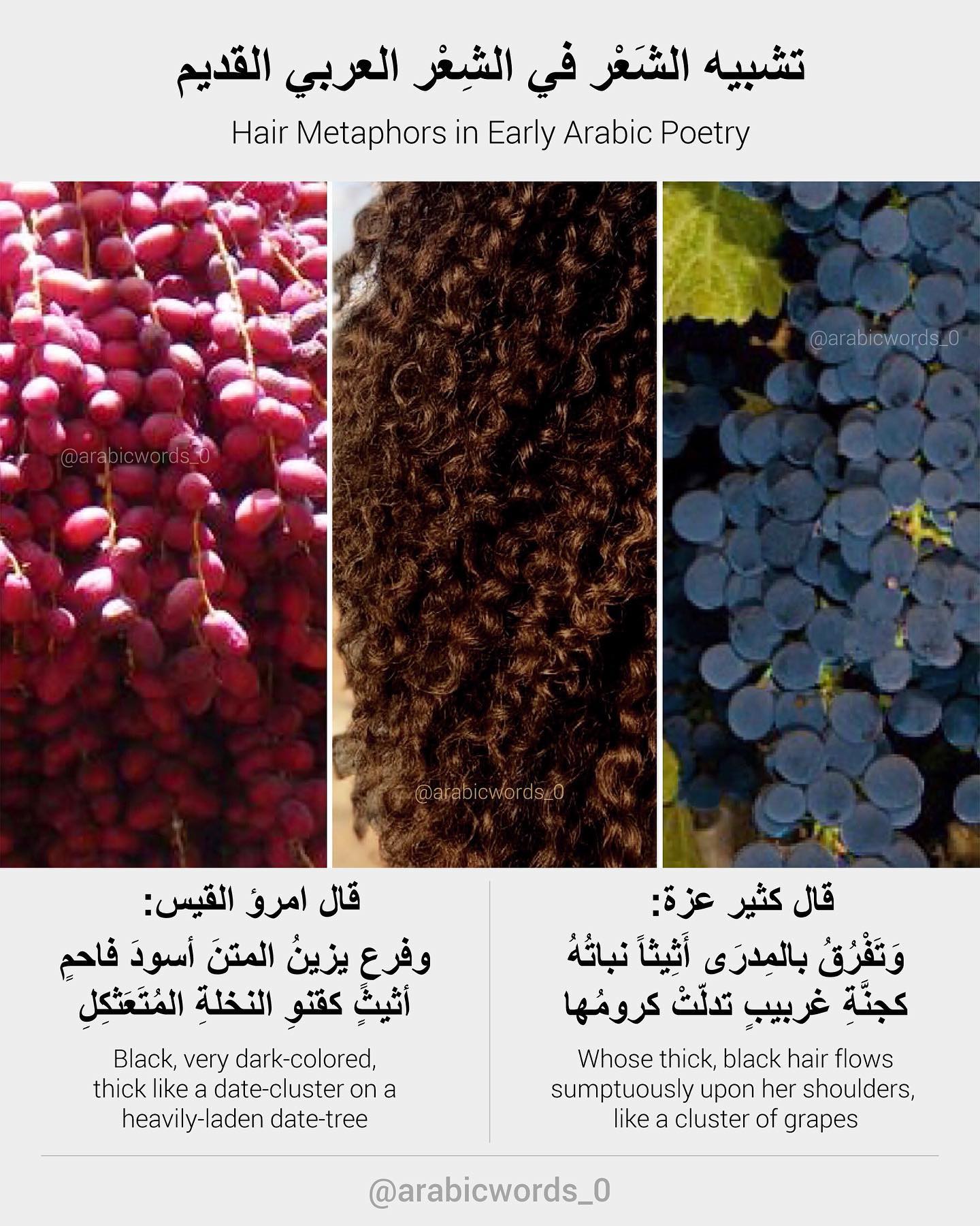 Hair Metaphors in Early Arabic Poetry