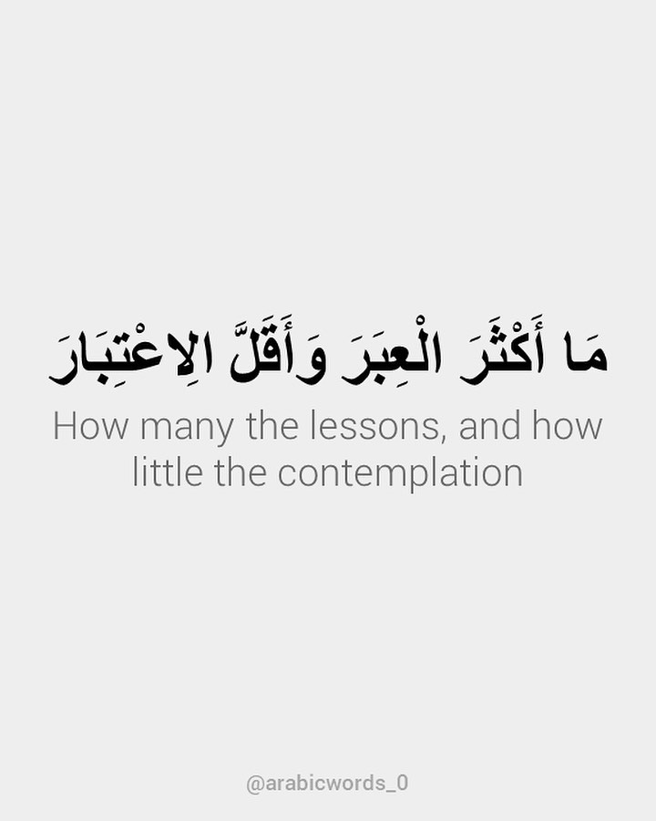How many the lessons, and how little the contemplation
